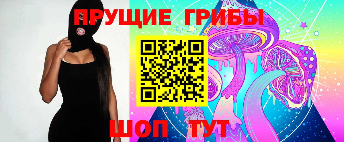 Галлюциногенные грибы Psilocybe Урай