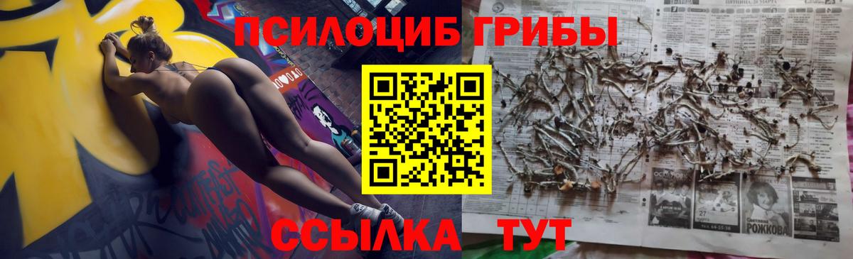 Урай  Псилоцибиновые грибы мицелий  Псилоцибиновые грибы MAGIC MUSHROOMS  Вход с VPN 
